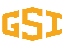 GSI（谷瑞）